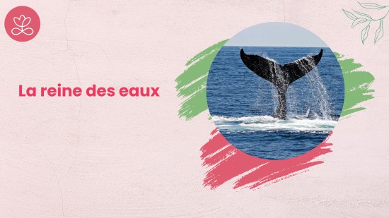 Semaine 2 :  La reine des eaux (21 minutes)